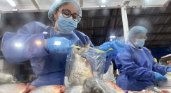 MEDIDAS DE SEGURIDAD EN CUCUTA PARA COMPRAR PESCADO 
