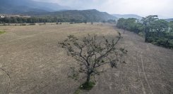 Se espera una fuerte sequía producto de la ausencia de lluvias./Foto Archivo