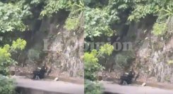 Ataque en zona rural de El Carmen deja una mujer Policía herida