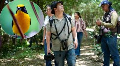 Avistamiento de aves en el parque Playa de Cúcuta. / Foto Carlos Ramírez y cortesía-La Opinión