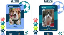 Medellín crea álbum 'Perlini' para incentivar adoptatón mundialista