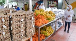 CANASTAS ALIMENTARIAS 