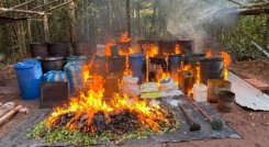 La Armada, el Ejército y la Policía destruyeron cinco laboratorios de pasta base de coca en Cumaribo, Vichada, que generaban millonarios ingresos al Frente 44 'Antonio Ricaurte' del Estado Mayor Central.