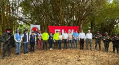 LIBERADOS EN ARAUCA
