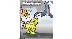 Más rayas positivas para el tigre