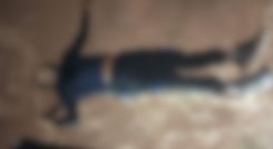 Cuerpo El Mestizo