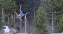 Hombre atacado por bisonte en USA. Foto: captura de redes sociales (X)