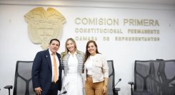 Comision primera