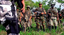 Clan-del-Golfo. Foto: Colprensa.