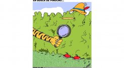 En busca de pinocho...