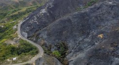 Incalculables pérdidas dejan incendio forestal en zona rural de Ábrego. Fotos Carlos Ramírez.