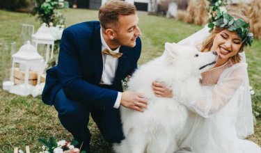 Perros podrán ser testigos en matrimonios