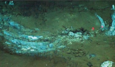 CEMENTERIO DE BALLENAS