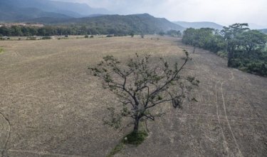 Fenomeno El Niño