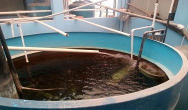 El intenso verano afecta duramente el corregimiento de Aguas Claras de Ocaña.