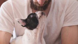 Un estudio piloto comprueba cómo el olor del estrés humano afecta al aprendizaje y al estado emocional de los perros, que recoge la revista Scientific Reports.