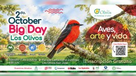 El Parque de Vida Los Olivos llega a 86 especies de aves registradas y se prepara para su segundo October Big Day