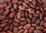 Cacao