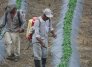 Fertilizantes. / Foto archivo