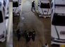 Capturado en Villa del Rosario por lanzar una perrita de un edificio. Foto: captura de redes sociales.