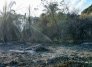 INCENDIOS EN TOLIMA 