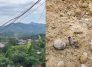 Ataque con drones El Tarra.