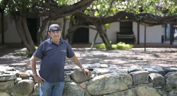 Francisco posa frente el imponente laurel hindú, conocido como el árbol caminante.