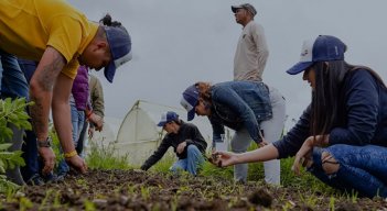 'In-pactamos' benefició a 56 empresas colombianas en 2020. / Foto: Cortesía