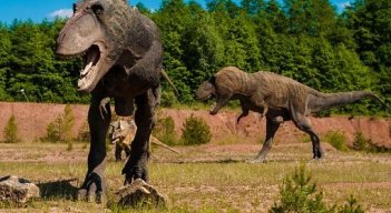 Los dinosaurios habitaron en varias regiones del planeta. /Foto:Archivo