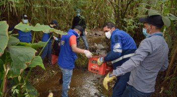 En la jornada se recolectaron botellas, bolsas con basura, materiales y desechos vegetales./ Foto: Cortesía.