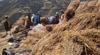 Las personas se unen en torno a las trillas. / Foto: Cortesía