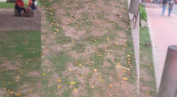 Parque Colón