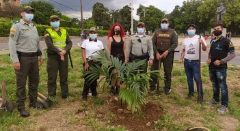 Aparte de esta actividad, plantaron pinos colombianos y robles en Pamplona / Cortesía