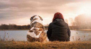 Las mascotas son buena compañía