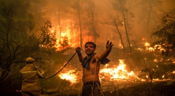 Los incendios forestales se registran a diario.