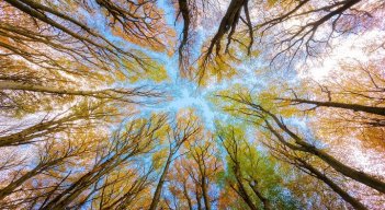 Hay que preservar el medio ambiente