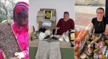 La familia Toloza se ha encargado de expandir los apiarios para que se multiplique la flora. Adriana Anteliz es la representante legal de la Asociación de Familias Artesanas, Asomerced. /Fotos: Cortesía.