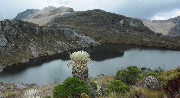 Fuentes de agua