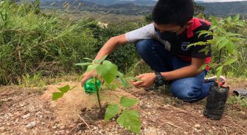 La Unidad Técnica Ambiental promueve programas ecológicos entre la población infantil.  / Cortesía/ La Opinión 