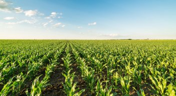 El ecosistema de agricultura tecnológica en la región actualmente es liderado por Brasil y Argentina. / Foto: Cortesía