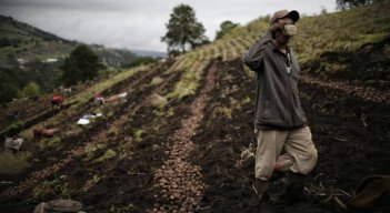 Una empresa comprometida con el ambiente y el cambio climático.