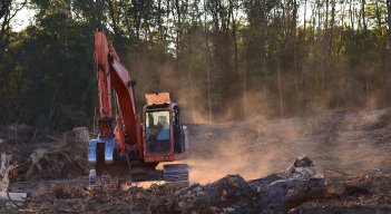 Deforestación amenaza la Amazonía