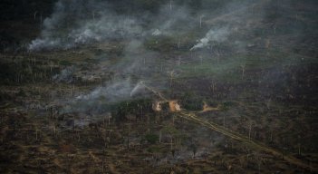 en las últimas cinco décadas el hombre también ha deforestado y quemado franjas enteras para destinarlas a la ganadería y la agricultura./AFP