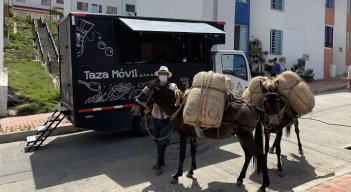 Estrategia comercial para promocionar la calidad del café en todo el territorio nacional. Expertos en la materia recorren la zona del Catatumbo para la compra directa del grano a los campesinos de la región.