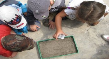 Educación ambiental