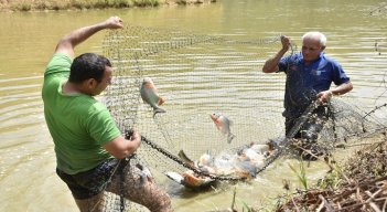 La piscicultura se ha convertido en una alternativa para reactivar la economía en la zona del Catatumbo.