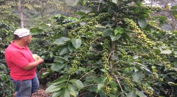 La UFPS, seccional Ocaña coordina con la Cooperativa de Caficultores del Catatumbo la implementación de la ruta del café. / Foto: Cortesía / La Opinión.
