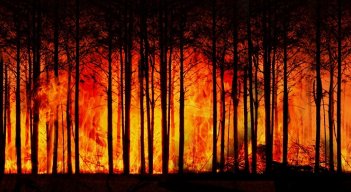 Incendios forestales