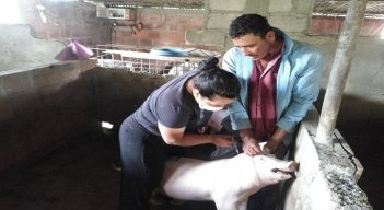 Las mujeres de la vereda Llano Verde, jurisdicción del corregimiento Quebrada de la Esperanza, se convierten en ejemplo digno de imitar por su organización.