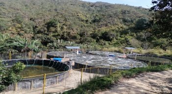 Un novedoso sistema para el ahorro de agua en la cría de peces, se implementa en la vereda Santa Lucía de Ocaña. Una estrategia intensiva de uso de energía renovable con paneles solares.